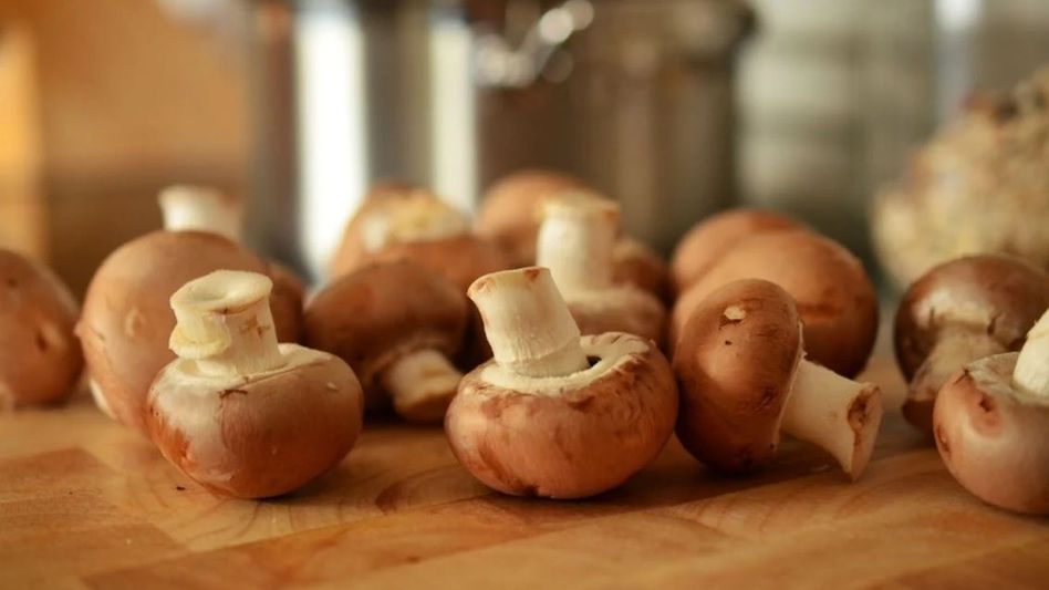 Mushroom poisoning claims another life in Meghalaya Mushroom poisoning claims another life in Meghalaya