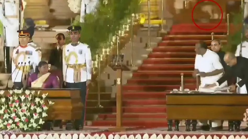 'Mysterious animal' at PM Modi's oath-taking ceremony a common house cat, clarifies Delhi Police 'Mysterious animal' at PM Modi's oath-taking ceremony a common house cat, clarifies Delhi Police