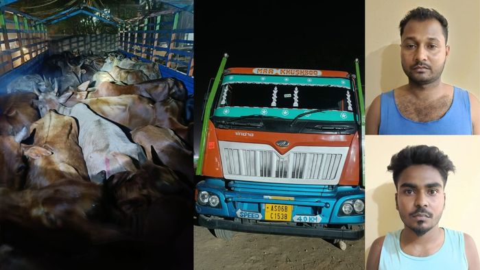 Assam Police busts cattle smuggling bid at Jorabat, two arrested
