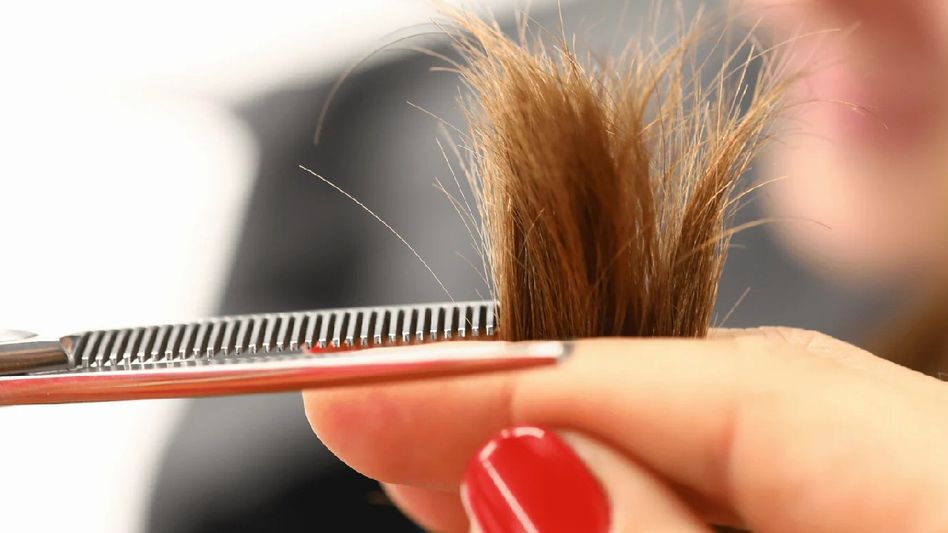 Natural Remedies for Treating Split Ends: Easy and Effective Home Tips Natural Remedies for Treating Split Ends: Easy and Effective Home Tips
