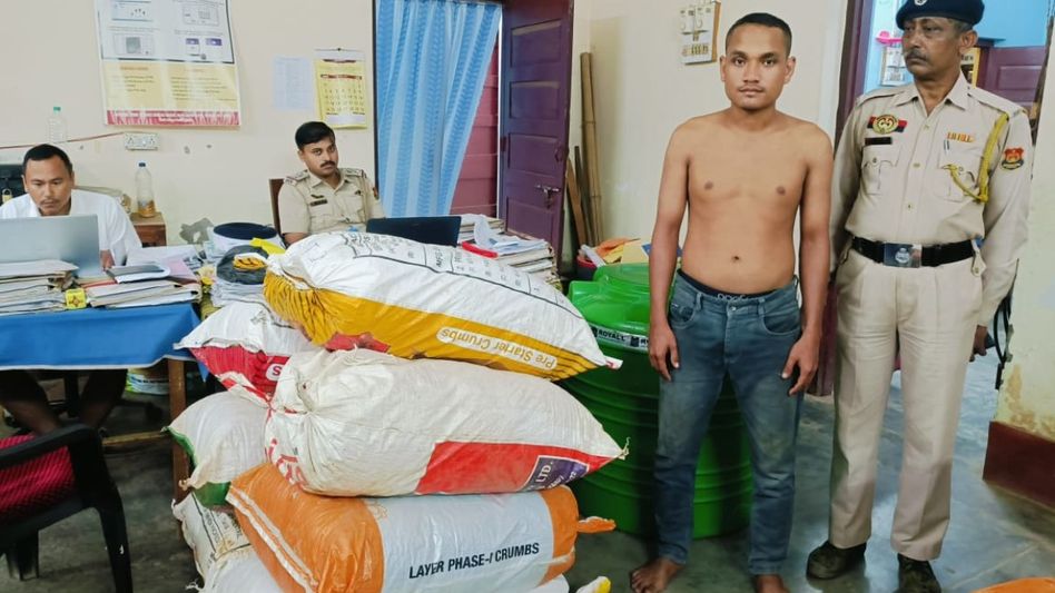 Tripura: One held with cannabis worth Rs 23 lakh Tripura: One held with cannabis worth Rs 23 lakh
