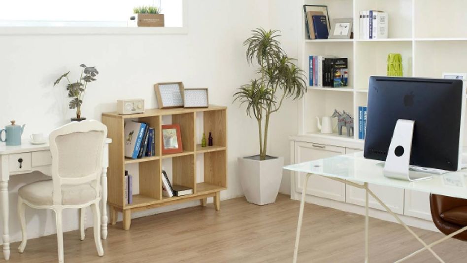 Cultivating Calm and Conquest: Design Your Study Room for Prosperity and Peace Cultivating Calm and Conquest: Design Your Study Room for Prosperity and Peace