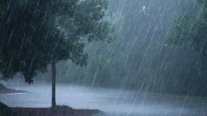 IMD Warns of Heavy Rain in Northeast