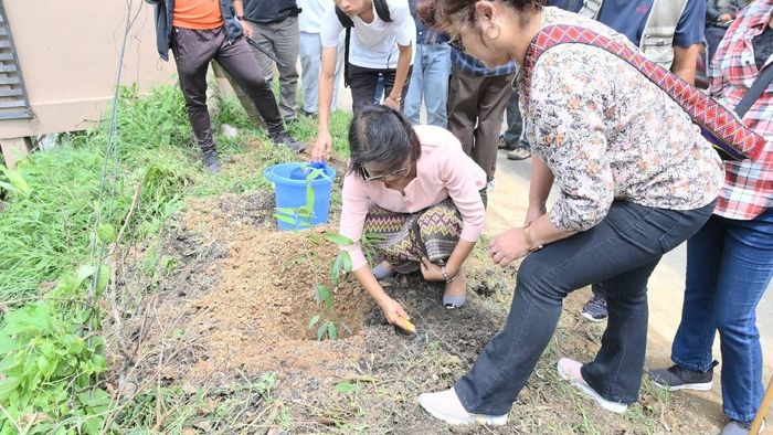 Tourism department plants trees at Lengpui airport for 'Green Mizoram Day'
