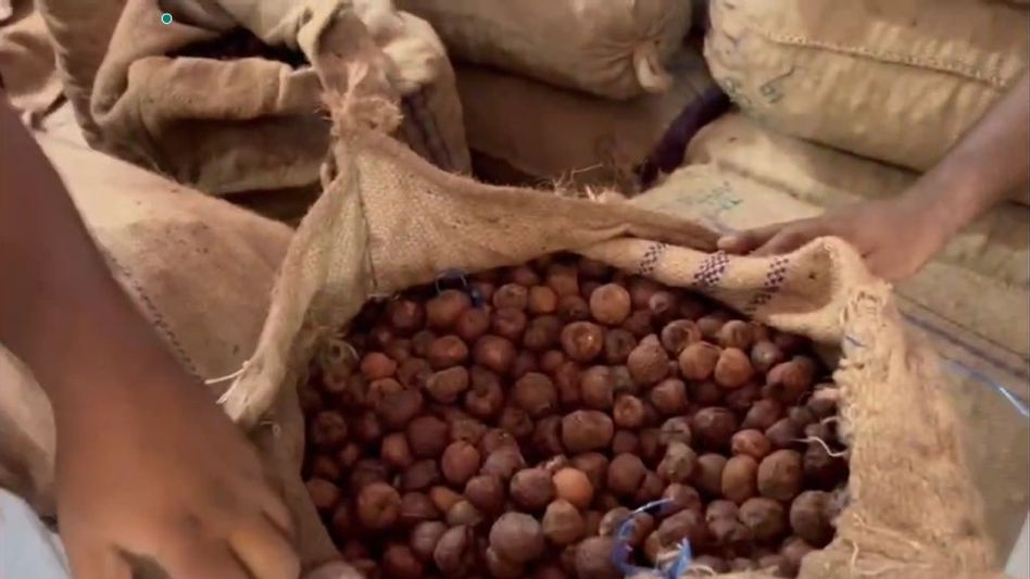 Assam Police seize 23 sacks of suspected Burmese supari in Chirang Assam Police seize 23 sacks of suspected Burmese supari in Chirang