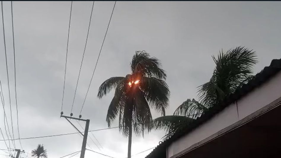 Assam: Two killed, two injured in lightning strike in Nagaon Assam: Two killed, two injured in lightning strike in Nagaon