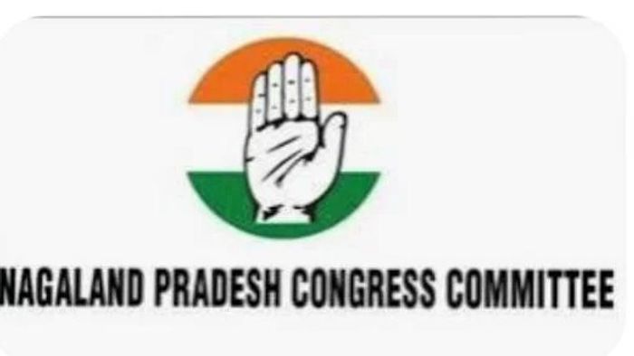 Nagaland Polls Violence Condemned