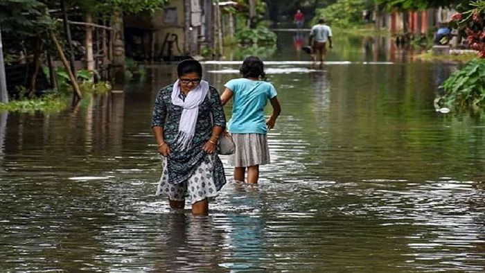 Flood situation in Assam shows signs of improvement, over 1.2 lakh affected