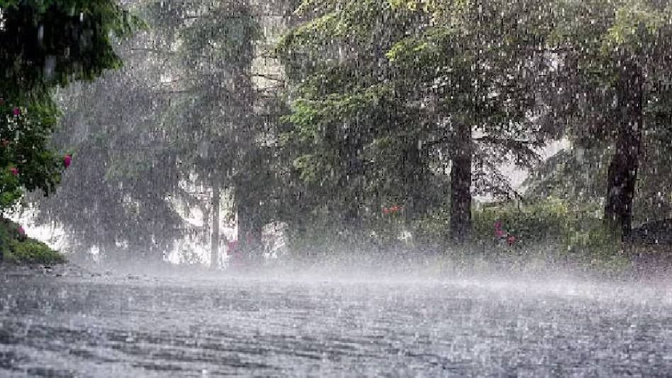 IMD predicts heavy rainfall conditions over parts of Assam, Meghalaya IMD predicts heavy rainfall conditions over parts of Assam, Meghalaya