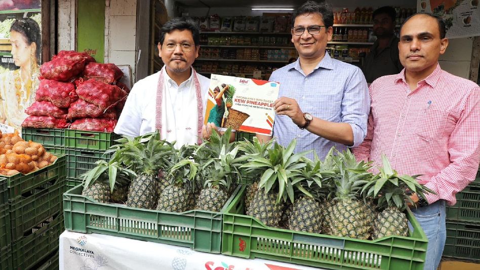Meghalaya's pineapple leads first international export of the season, 3.5 MT sent to Middle East Meghalaya's pineapple leads first international export of the season, 3.5 MT sent to Middle East