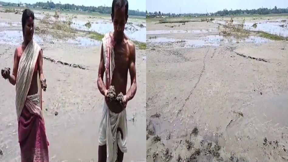 Assam: Flood devastation in Gohpur leaves farmers' land barren, livelihoods in peril Assam: Flood devastation in Gohpur leaves farmers' land barren, livelihoods in peril