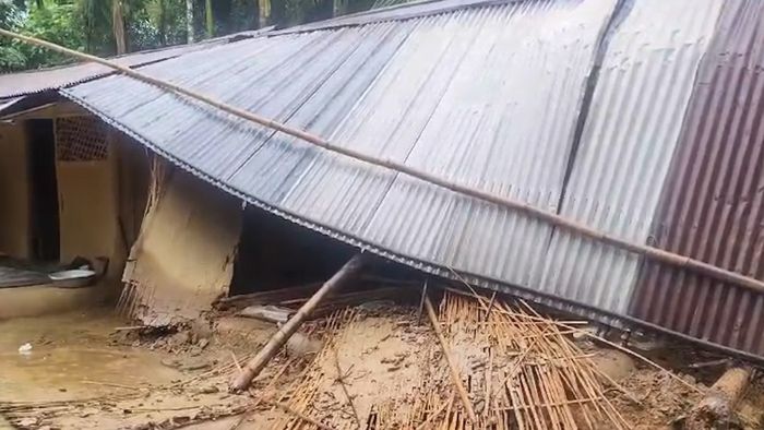 Elephant Kills Two in Assam