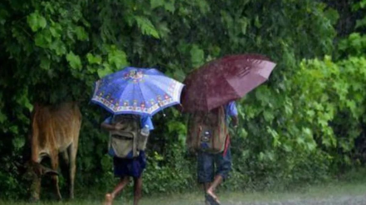 Nagaland State Disaster Management  Authority predicts heavy rainfall from July 2 to July 8 Nagaland State Disaster Management  Authority predicts heavy rainfall from July 2 to July 8