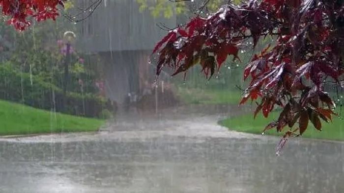 IMD: Red Alert for Heavy Rains