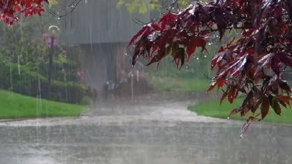IMD predicts heavy to very heavy rainfall for Assam and Meghalaya in next 2 days IMD predicts heavy to very heavy rainfall for Assam and Meghalaya in next 2 days