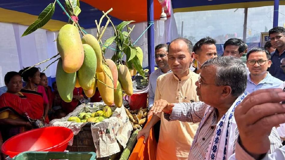 Tripura initiates solar-powered infrastructure to boost mango cultivation, enhance farmer income Tripura initiates solar-powered infrastructure to boost mango cultivation, enhance farmer income