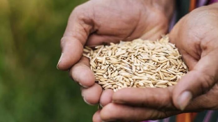 Assam Government extends 'Anna Sewa Din' until July 15 amidst flood crisis