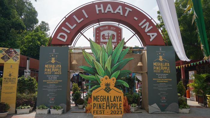 Meghalaya Pineapple Festival 2024 at Dilli Haat from July 10th to 14th