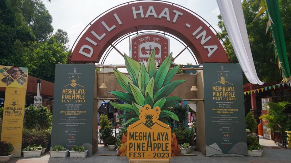 Meghalaya Pineapple Festival 2024: A feast of kew pineapples at Delhi's Dilli Haat Meghalaya Pineapple Festival 2024: A feast of kew pineapples at Delhi's Dilli Haat