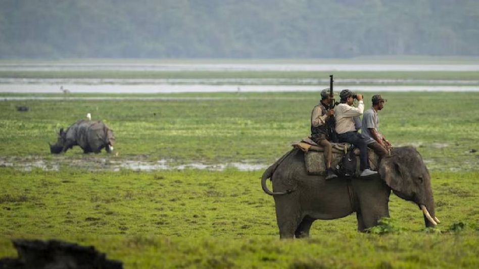 Assam tour operators' body praises development of 5-star hotels in Kaziranga Assam tour operators' body praises development of 5-star hotels in Kaziranga