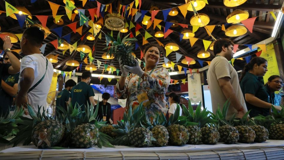 Second Meghalaya Pineapple Festival 2024 kicks off in Delhi's Dilli Haat Second Meghalaya Pineapple Festival 2024 kicks off in Delhi's Dilli Haat