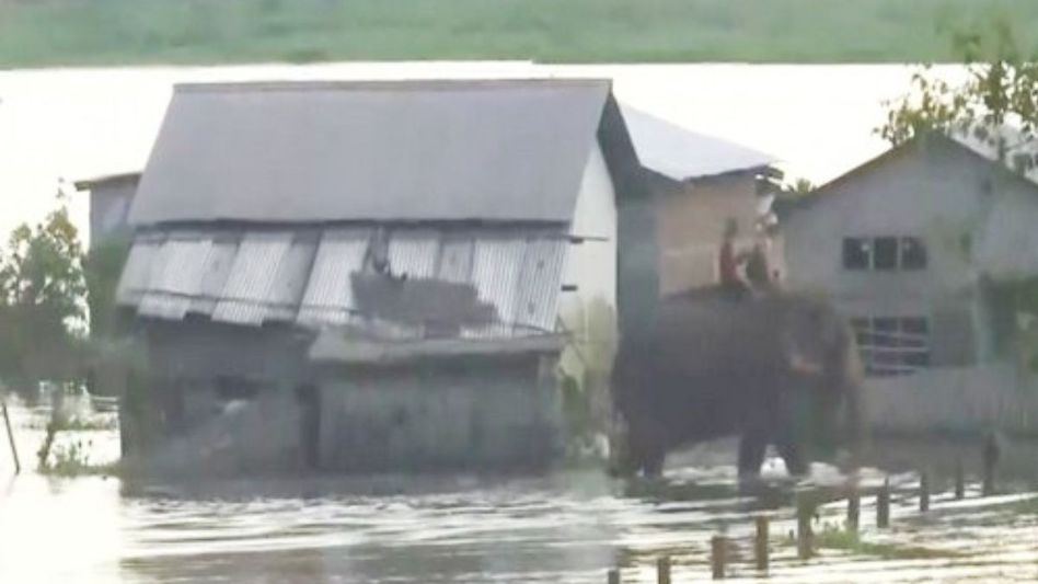 Assam: Flood situation remains grim in Nagaon; death toll from deluge rises to 84 Assam: Flood situation remains grim in Nagaon; death toll from deluge rises to 84