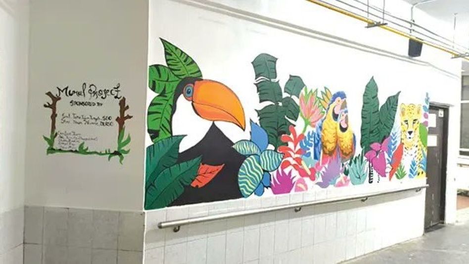 Arunachal youth transform hospital ward with inspiring murals Arunachal youth transform hospital ward with inspiring murals