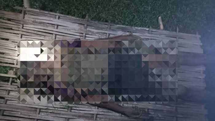 Meghalaya: Wild elephant attack claims life in South West Garo Hills