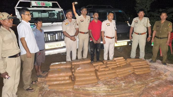 Tripura police seize cannabis worth Rs 12 lakh in Ambassa