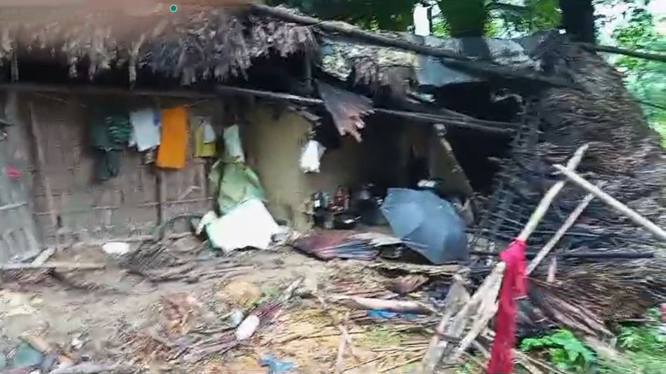 Assam: Wild elephants cause havoc in Niz Makum village Assam: Wild elephants cause havoc in Niz Makum village