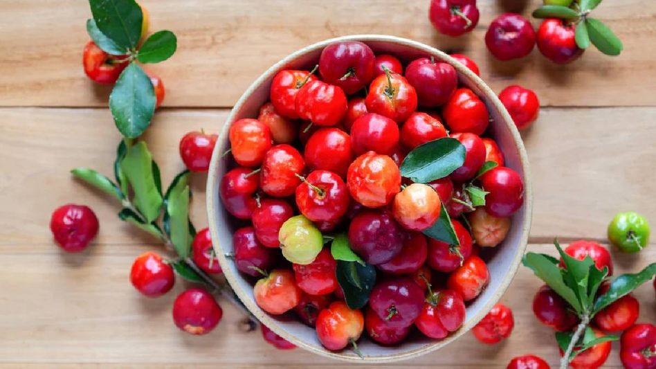 How to grow skin expert Barbados cherry in your Assamese garden How to grow skin expert Barbados cherry in your Assamese garden