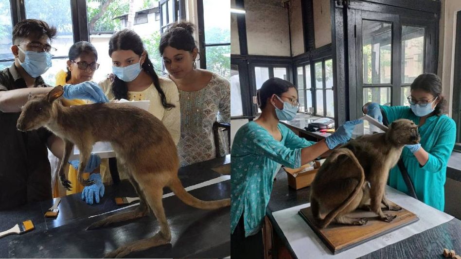 Cotton University and Assam State Museum hold workshop on museum management Cotton University and Assam State Museum hold workshop on museum management