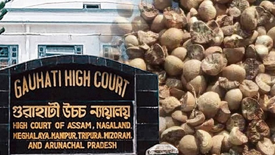 Assam: Gauhati High Court orders CBI inquiry into areca nut smuggling from Myanmar Assam: Gauhati High Court orders CBI inquiry into areca nut smuggling from Myanmar
