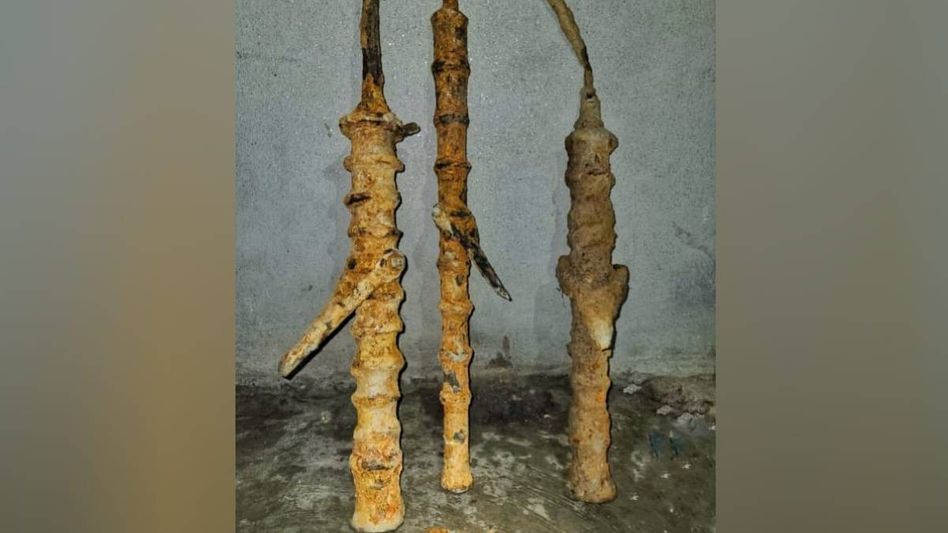 Assam: Century old Swivel cannon unearthed in Dhubri  Assam: Century old Swivel cannon unearthed in Dhubri
