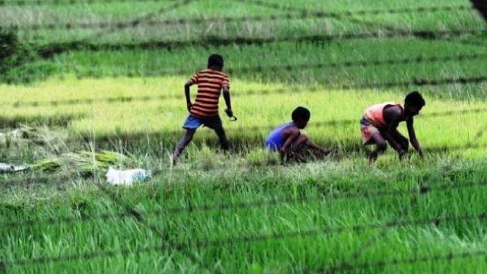 Five Bangladeshi nationals detected trying to enter Assam; police push them back immediately