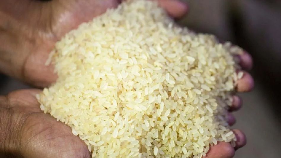 Mizoram: Home Ministry allocates Rs 5 crore for rice procurement to aid displaced persons in state Mizoram: Home Ministry allocates Rs 5 crore for rice procurement to aid displaced persons in state