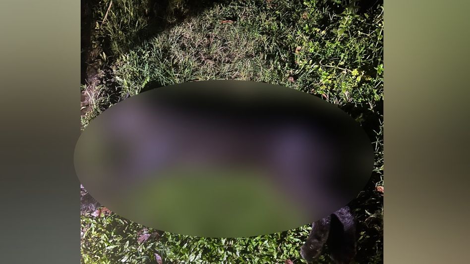 Assam: Black Panther found dead near Manas National Park Assam: Black Panther found dead near Manas National Park