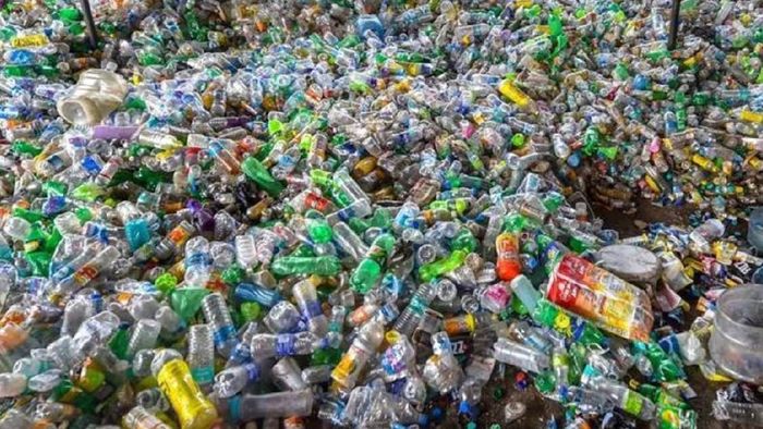 Nagaland imposes ban on single-use plastics starting August 1, 2024