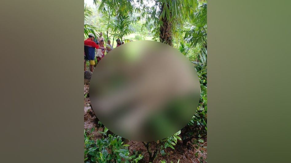 Assam: Wild elephant found dead in Digboi's Bhim Pather area Assam: Wild elephant found dead in Digboi's Bhim Pather area