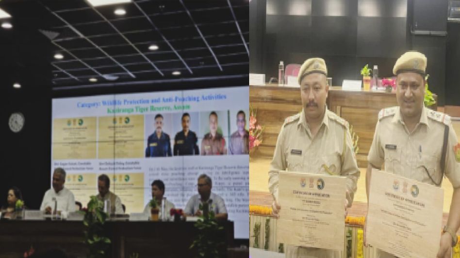 Assam: Kaziranga National Park staff honoured on International Tiger Day for anti-poaching efforts Assam: Kaziranga National Park staff honoured on International Tiger Day for anti-poaching efforts