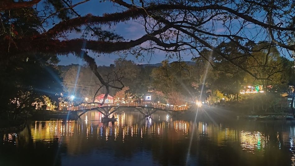 Meghalaya: Boney M rumoured for Cherry Blossom Festival, organiser teases 'big names' Meghalaya: Boney M rumoured for Cherry Blossom Festival, organiser teases 'big names'