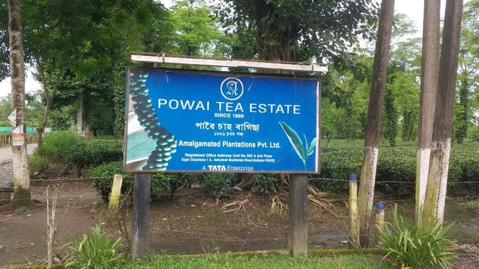 Assam: Student body raises concern over mismanagement of electricity funds at Powai Tea Estate Assam: Student body raises concern over mismanagement of electricity funds at Powai Tea Estate