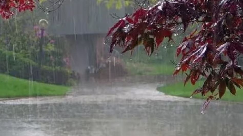 Tripura: IMD issues yellow and orange alert for Tripura, heavy rainfall likely Tripura: IMD issues yellow and orange alert for Tripura, heavy rainfall likely