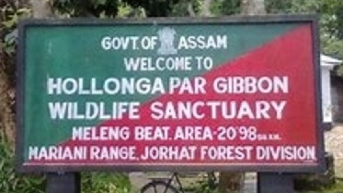 Environment Ministry approves oil and gas drilling in Assam's Hoollongapar Sanctuary, sparks conservation concerns