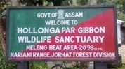 Environment Ministry approves oil and gas drilling in Assam's Hoollongapar Sanctuary, sparks conservation concerns Environment Ministry approves oil and gas drilling in Assam's Hoollongapar Sanctuary, sparks conservation concerns