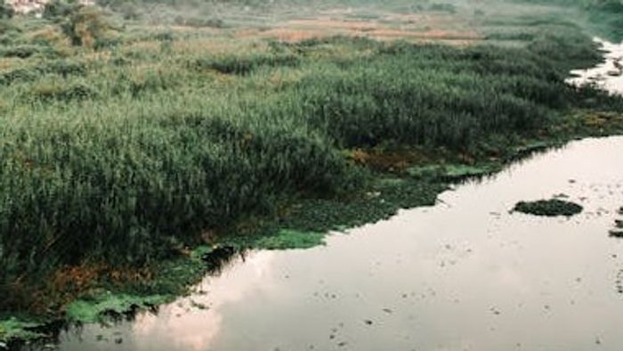 Representational image