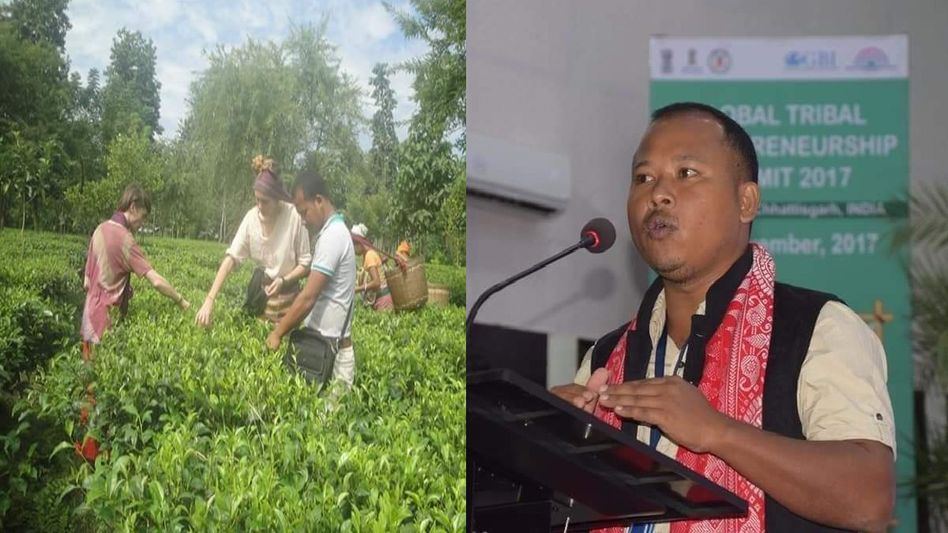 Assam's pioneer in organic tea farming: The inspiring journey of Tenzing Bodosa Assam's pioneer in organic tea farming: The inspiring journey of Tenzing Bodosa