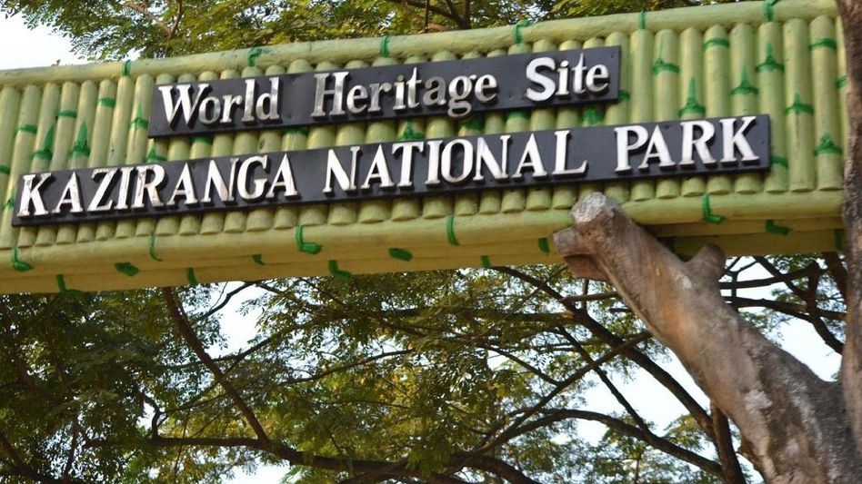 National Green Tribunal takes action against luxury hotel projects near Assam's Kaziranga National Park National Green Tribunal takes action against luxury hotel projects near Assam's Kaziranga National Park