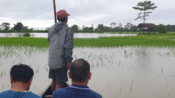 Arunachal: Siang river floods devastate farming lands in East Siang district