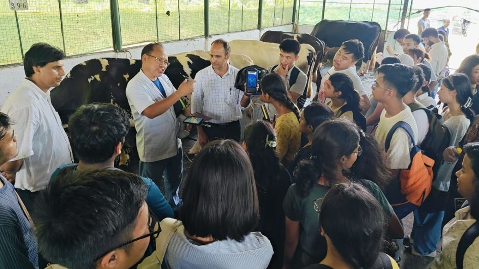 Arunachal: Animal care device demonstrated at cattle breeding farm in Nirjuli Arunachal: Animal care device demonstrated at cattle breeding farm in Nirjuli